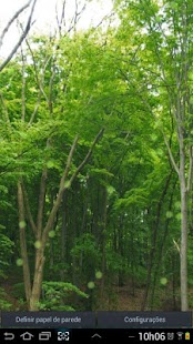 Forest Green Live Wallpaper Screenshots 5