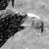 Rainy day by Renos Hadjikyriacou -  
