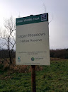 Lagan Meadows Nature Reserve