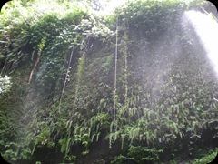 waterfall sendang gile air terjun