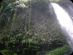 waterfall sendang gile air terjun