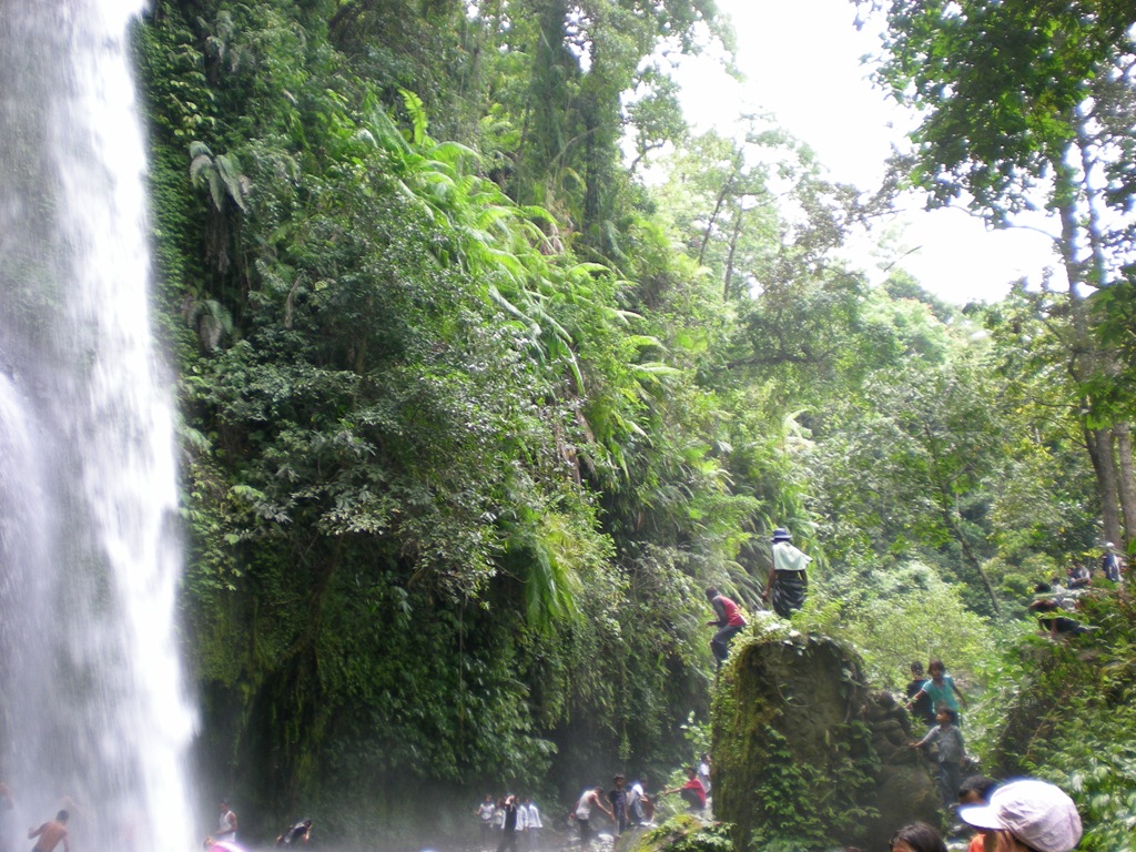 [DSCN0345[4].jpg]