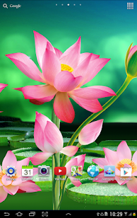 Lotus Live Wallpaper(圖5)-速報App