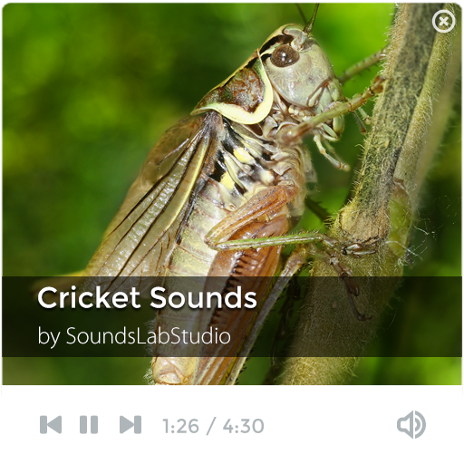 Cricket Sounds LOGO-APP點子