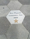 Burt Reynolds Star