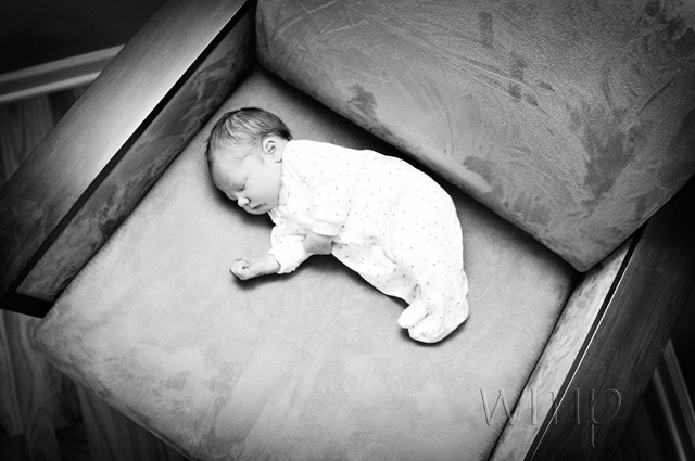 [_WMP6129-Edit[4].jpg]