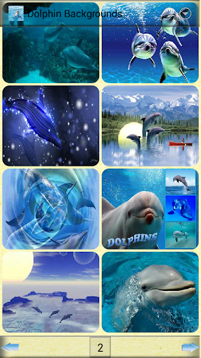免費下載攝影APP|海豚背景 app開箱文|APP開箱王
