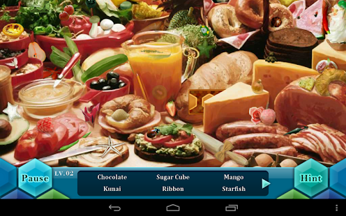  Hidden Objects Pro  
