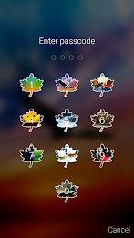 Keypad Locker Pro poster 13