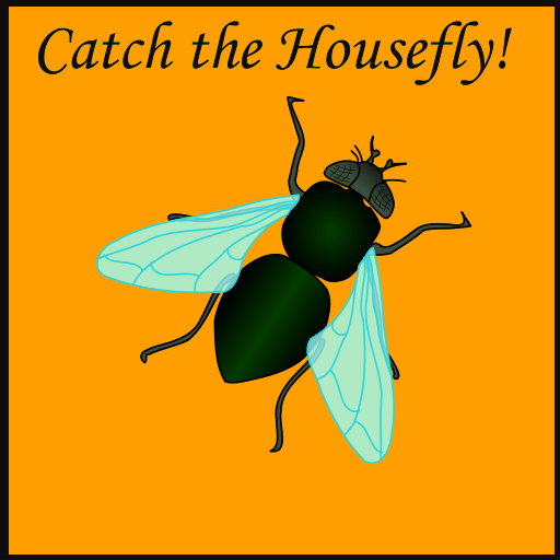 Catch the Housefly! 解謎 App LOGO-APP開箱王