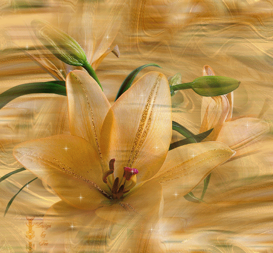 mensagensaosamigos08_flores.png