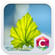 Fresh Leaf C Launcher Theme  Icon