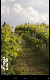 Marsciano - Umbria Musei poster 15