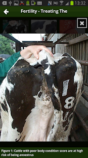   Nadis Farmer- screenshot thumbnail   