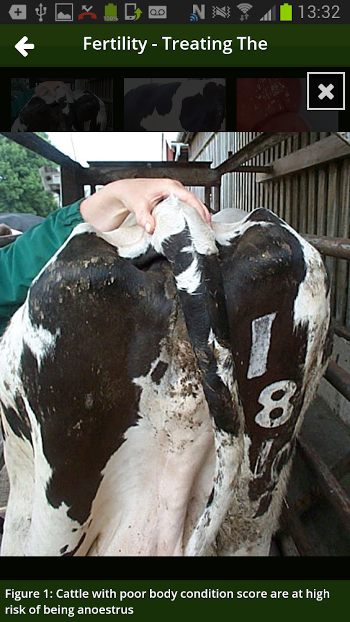    Nadis Farmer- screenshot  