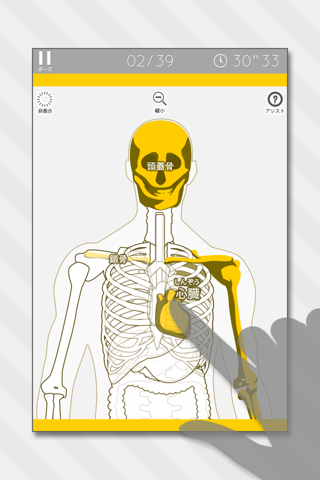 Android application Enjoy Learning Anatomy puzzle screenshort