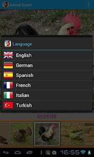 Animal Sound Screenshots 6