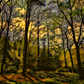 It Begins by Michael Grado - Nature Up Close Trees & Bushes