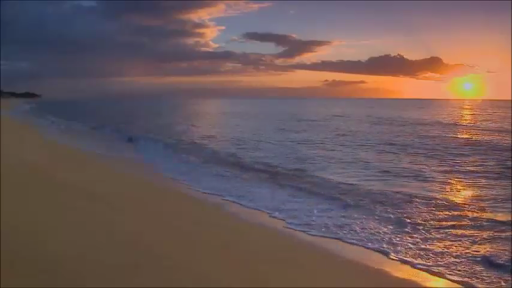 Sunset Beach Live Wallpaper