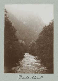 Riviergezicht door de vallei van een bebosd berglandschap.