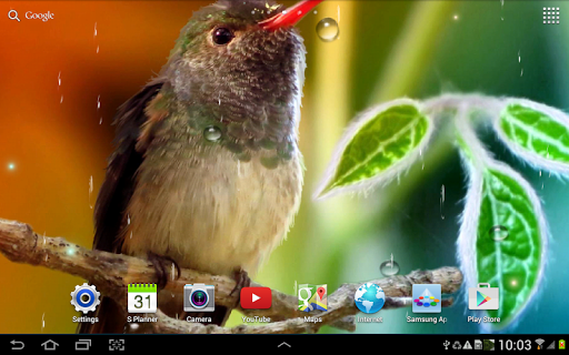 免費下載個人化APP|Hummingbirds Live Wallpaper app開箱文|APP開箱王