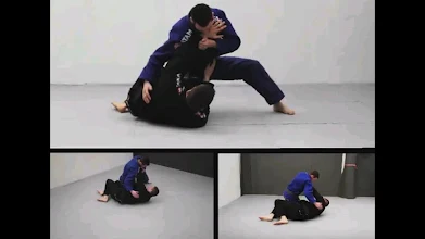 Download Advanced Brazilian Jiu Jitsu Techniques Pdf Free