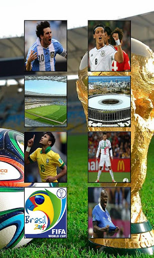 Brazil 2014 World Cup Puzzle