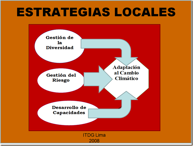 Estrategias Locales