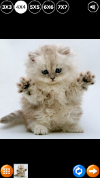 Tile Puzzle: Cute Kittens 2 poster 7