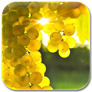 fruit lock & wallpaper.apk 1.0