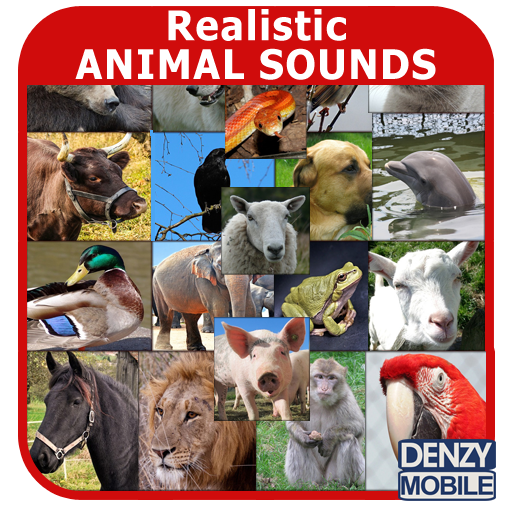 Realistic Animal Sounds LOGO-APP點子