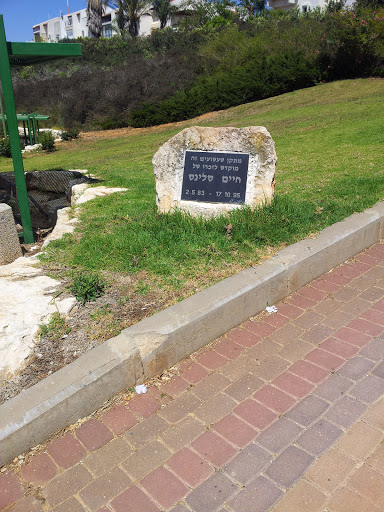 Haim Salins Memorial Playground 