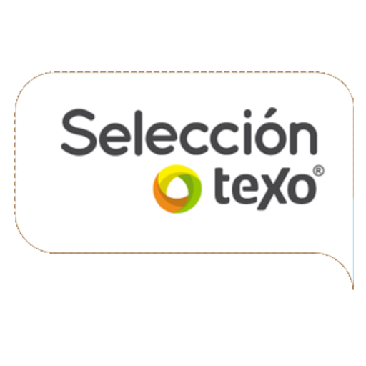 Selección Texo 2013 LOGO-APP點子