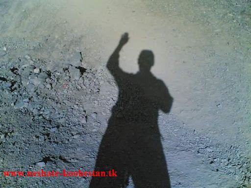 سايه او - ستوده 