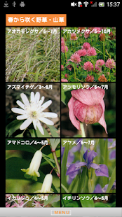 季節の野草・山草図鑑(圖2)-速報App