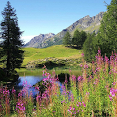 Summer Wallpaper - Android Apps on Google Play