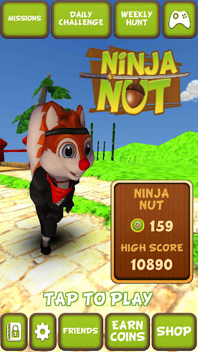 Ninja Nut: Taichi Legend Dash