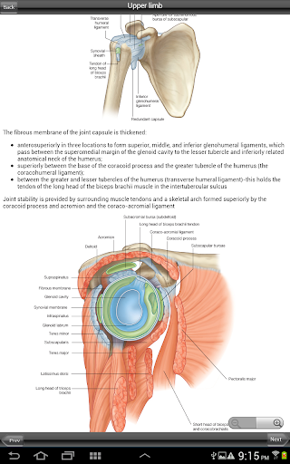 【免費醫療App】Gray's Upper and Lower Limb-APP點子