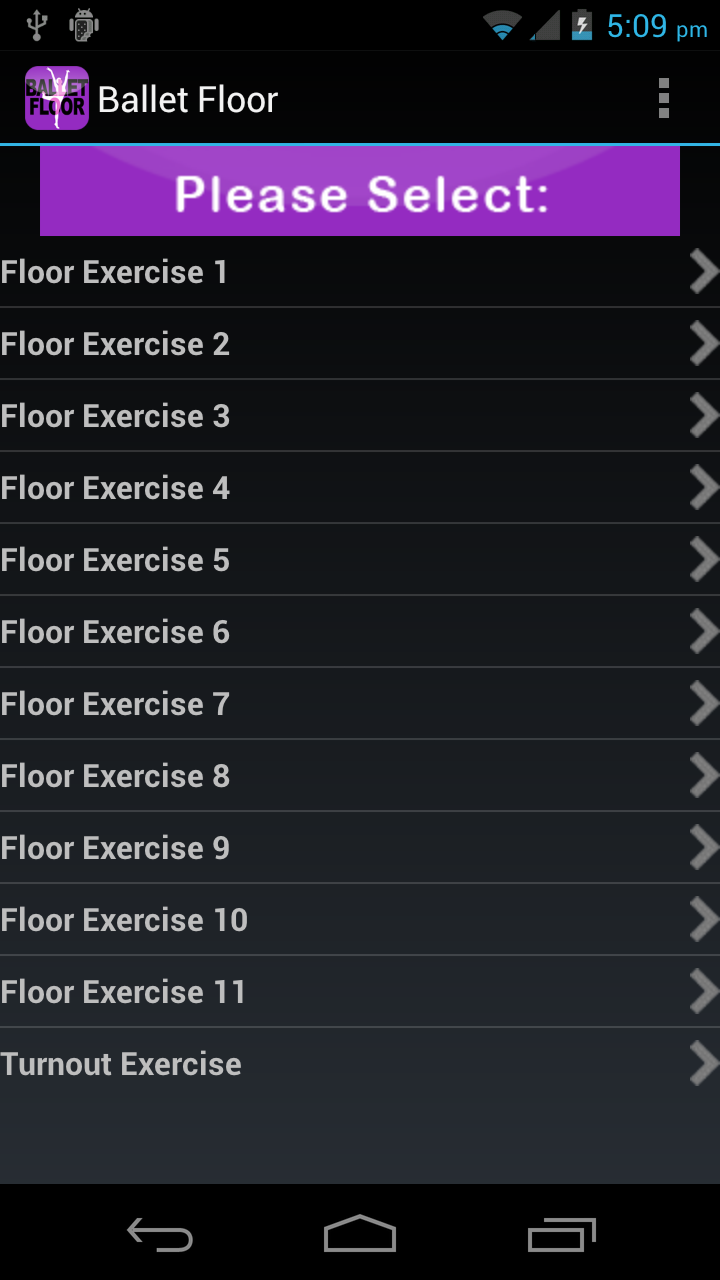 Ballet Floor Exercises Screen 3