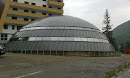Silver Dome