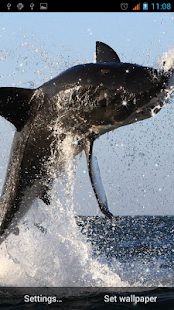 How to get Shark Live Wallpaper lastet apk for android