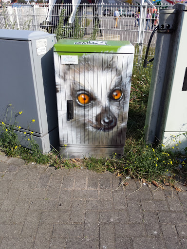 Meerkatze Mural auf Stromkasten