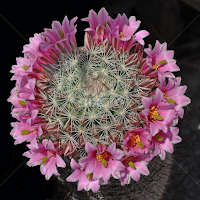 by Dawn Hoehn Hagler - Uncategorized All Uncategorized