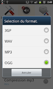How to install Phone & Voice Recorder PlugGG 2.2 unlimited apk for android