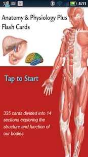 Anatomy Physiology Cards