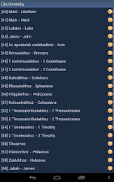 Hungarian Holy Bible poster 9