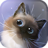 Peper Kitten1.2.5