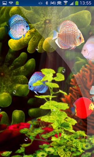 免費下載個人化APP|Coral Reef Aquarium HD LWP app開箱文|APP開箱王