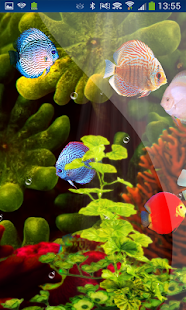 Download Coral Reef Aquarium HD LWP APK for Android