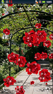 Roses of Rome Live Wallpaper(圖5)-速報App